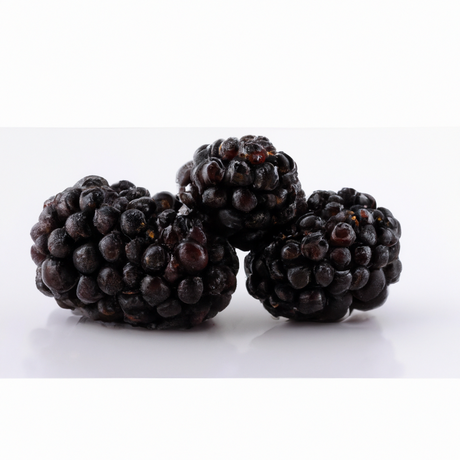 Organic Blackberry Puree (Sieved)