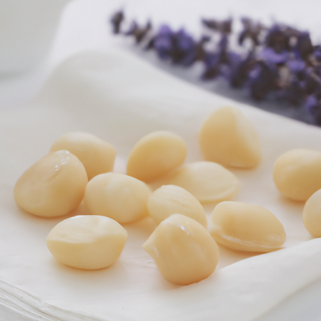 Macadamia Praline Flavor Concentrate, Natural